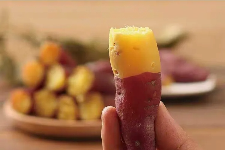 智能甘薯糖化愈合庫，紅薯存儲新變革